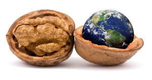 Global Warming in a Nutshell