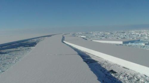 Fractures in Wilkins Ice Shelf; Source: British Antarctic Survey