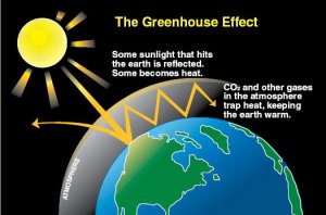 The Greenhouse Effect
