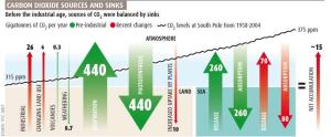 Carbon Sinks and Sources