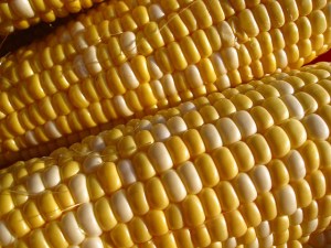 Corn